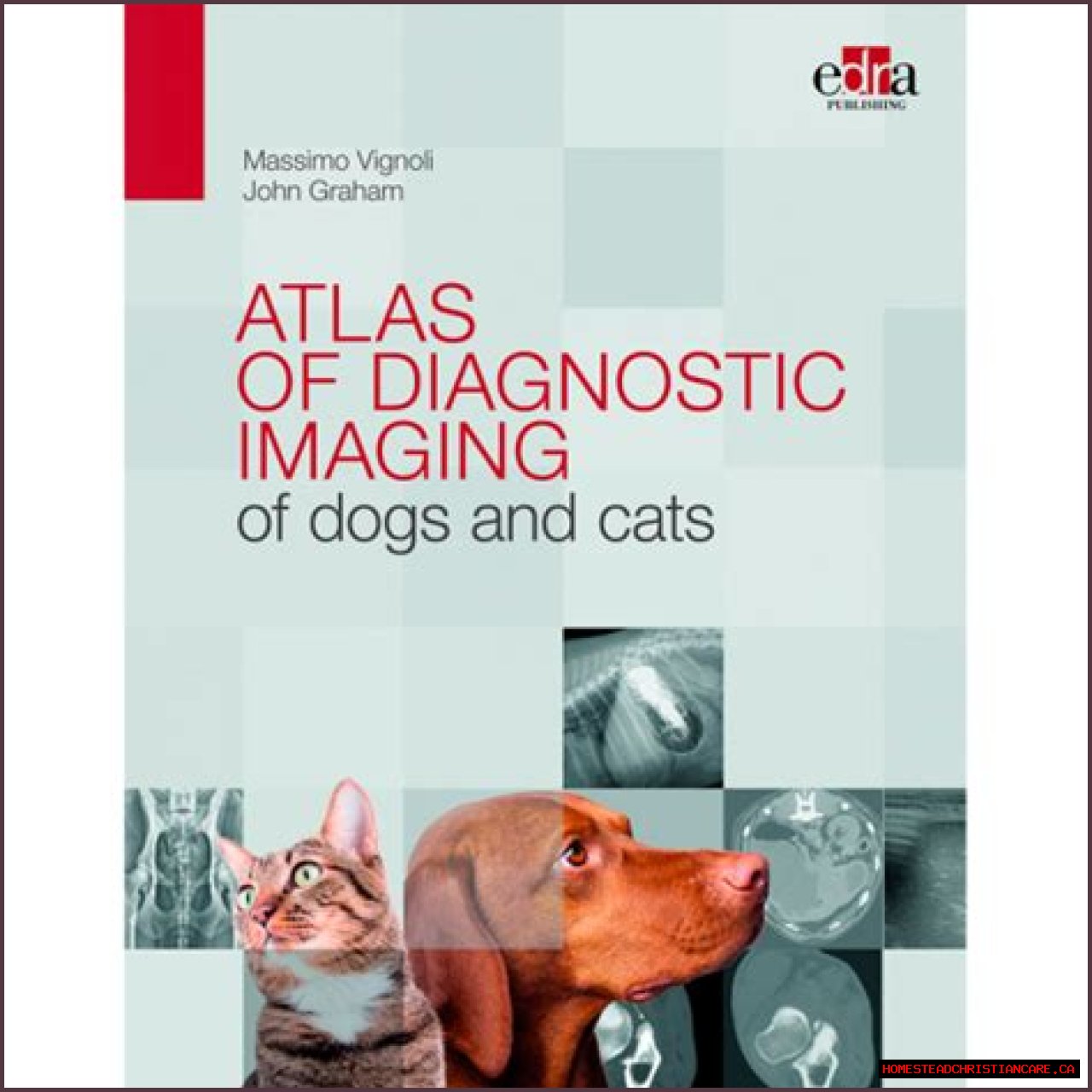Understanding Dr. Jeff Young's Age And His Impact In Veterinary Medicine